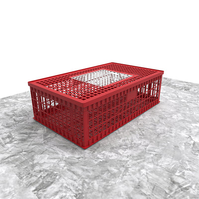 910 (L) X 556 (B) X 270 (H) Ready Bird Transportation Crate