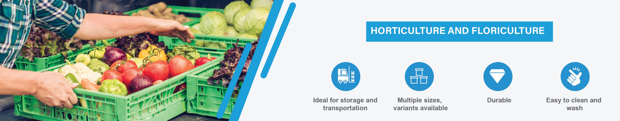 Horticulture and Floriculture