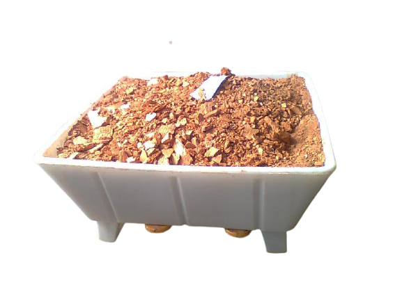 Roto Molded Palletised Crate With 2 Runners